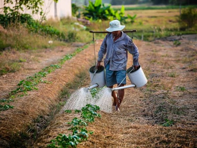 Prefeitura de Jatobá do Piauí promoverá capacitação para agricultores e criadores